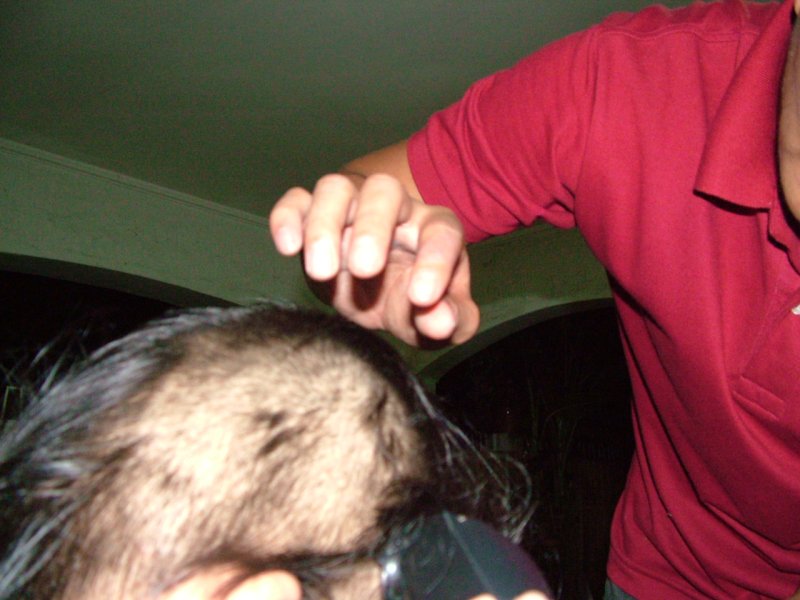 This just looks... wrong. No, I'm not shedding.